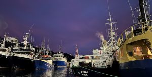 Schiffe im Hafen von Nuuk, 31.12.2025